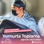 yumurta toplama agrili bir islem midir